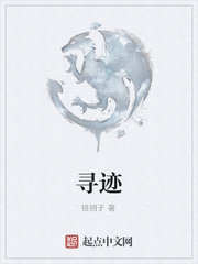 寻迹