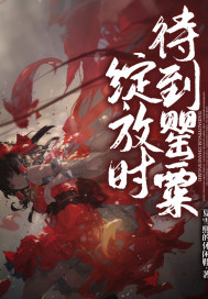 待到罂粟绽放时