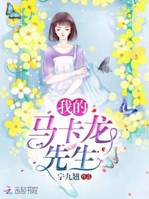 我的马卡龙先生