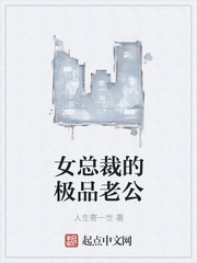 女总裁的极品老公