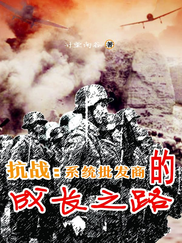 抗战：系统批发商的成长之路