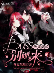 快穿病娇：BOSS，别硬来