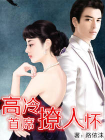 高冷首席撩入怀