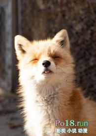 睡了反派男二之后