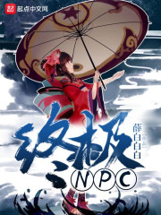 终极NPC