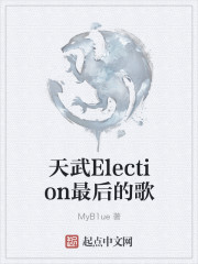 天武Election最后的歌