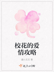 校花的爱情攻略