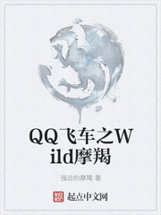 QQ飞车之Wild摩羯