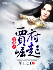 红楼之贾府崛起