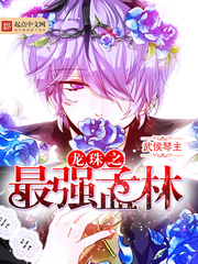 龙珠之纽盖特降临