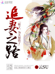 追妻之路：娘子，为夫知错了