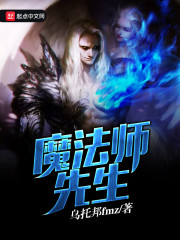 魔法师先生