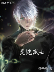灵铠武士