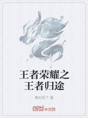 王者荣耀之王者归途