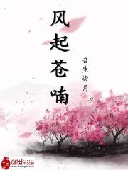 风起苍喃
