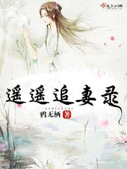 遥遥追妻录