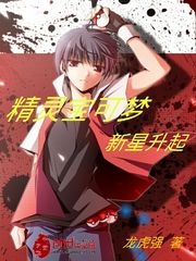 精灵宝可梦新星升起