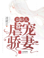 总裁大人虐宠骄妻