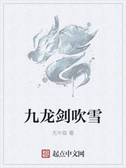 九龙剑吹雪
