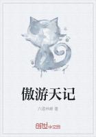 傲游天记