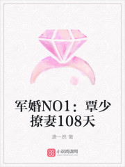 军婚NO1：覃少撩妻108天