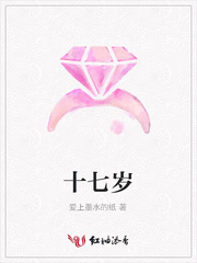 十七岁