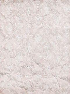 无风无月也无你