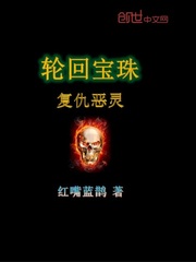 轮回宝珠—复仇恶灵