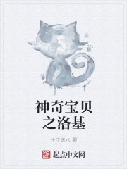 神奇宝贝之洛基